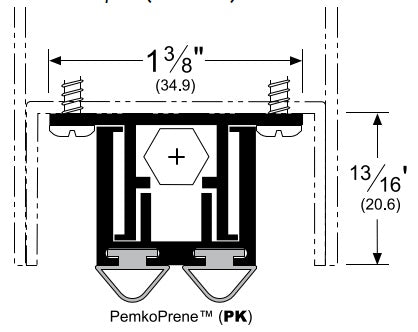 Mortise Automatic Door Bottom